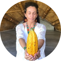 cacao online cacao online